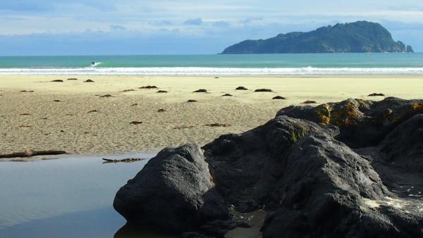 Seven reasons why Pauanui is such a great location to live with Pauanui Green.