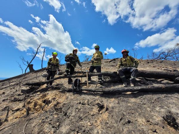 Black Jack Fire: Firefighters have been working on steep slopes in hot, dry and windy conditions.