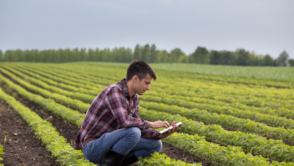 Training helps keep everyone on the farm safe says New Zealand's leading Rural Consultants for AgSafe New Zealand Ltd.