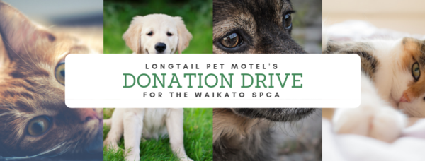 Donate to the Waikato SPCA through Hamilton's leading boarding kennels and cattery, Longtail Pet Motel, donation drive.