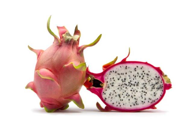 New dragon fruit varieties