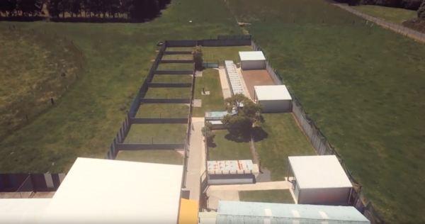 Hamilton's top boarding kennels and cattery Longtail Pet Motel debut new video.