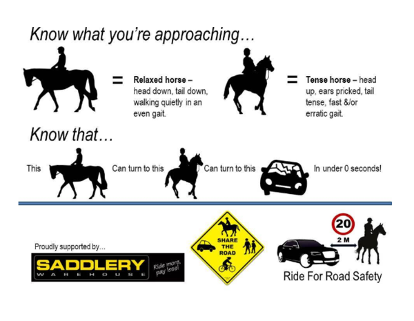 Know the Road Rules 