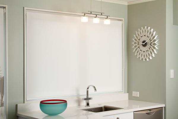 blackout blinds vs privacy shutters