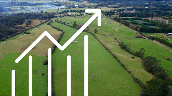 House prices predicted to rise in 2024