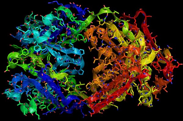 Trastuzumab