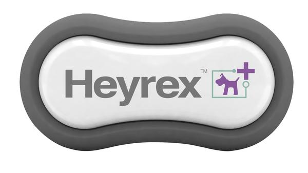 Heyrex online