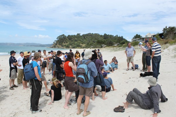 New Zealand Coastal Society conference attendees at Whangapoua learned about beach scraping and dune restoration