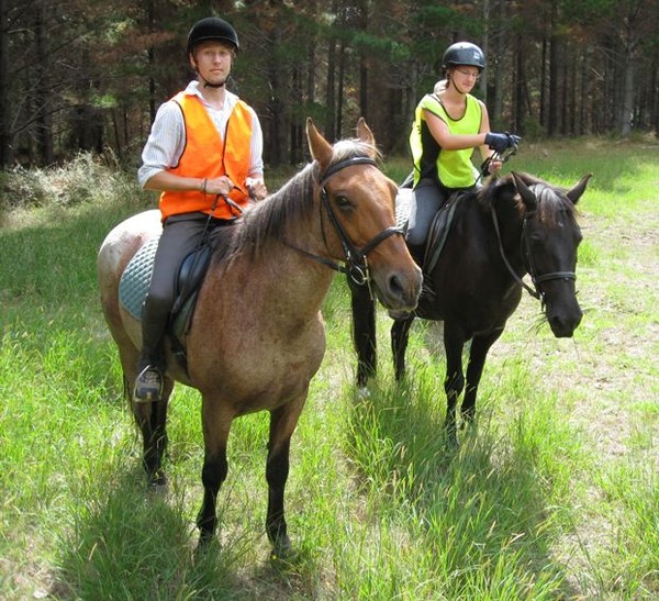 overseas tourists love New Zealand's horse riding opportunities, but trails are limited currently