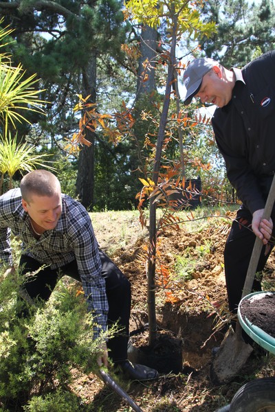 Mike Perrett (HRV National Sales Director) and Phil Coutts (General Manager) planting one of two Kauri trees.