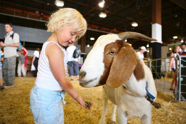 The Coca-Cola Easter Show, A Fantastic Day Out For All The Family!