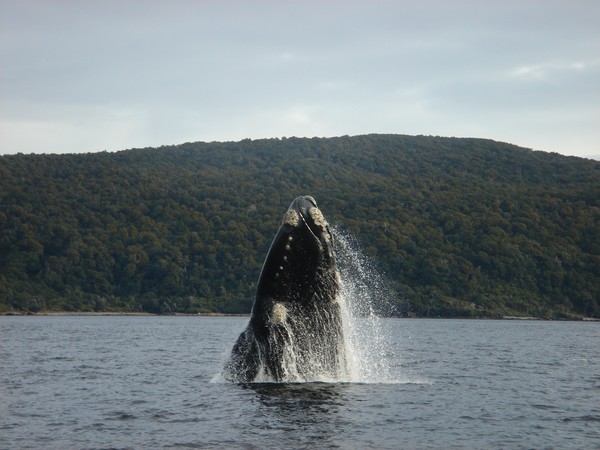 Preservation Inlet, Fiordland - 29 July 2007