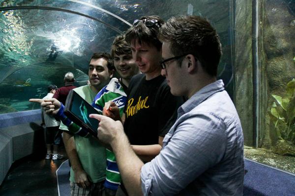 Digital tour in the National Aquarium of New Zealand.