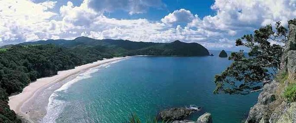  New Chums (Wainuiototo) Beach on the Coromandel Peninsula.