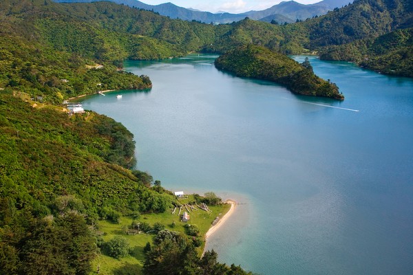 Queen Charlotte Sounds