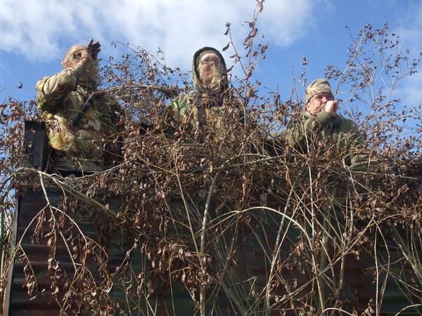 It's game over if the ducks spot you.  