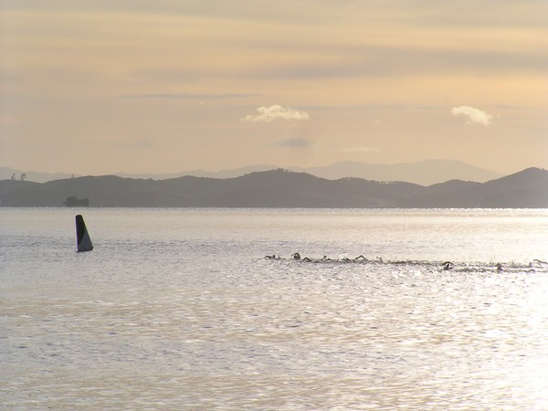 Auckland Half Ironman