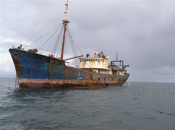SeaFire, Whakatanes new wreck dive sunk today