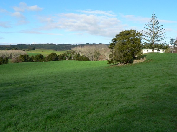 Dairy farm sale in Waipu 