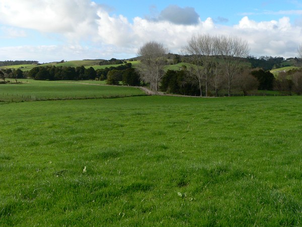 Dairy farm sale in Waipu 