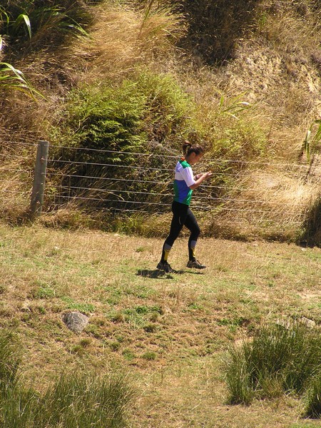 Waitangi Summer Orienteering 