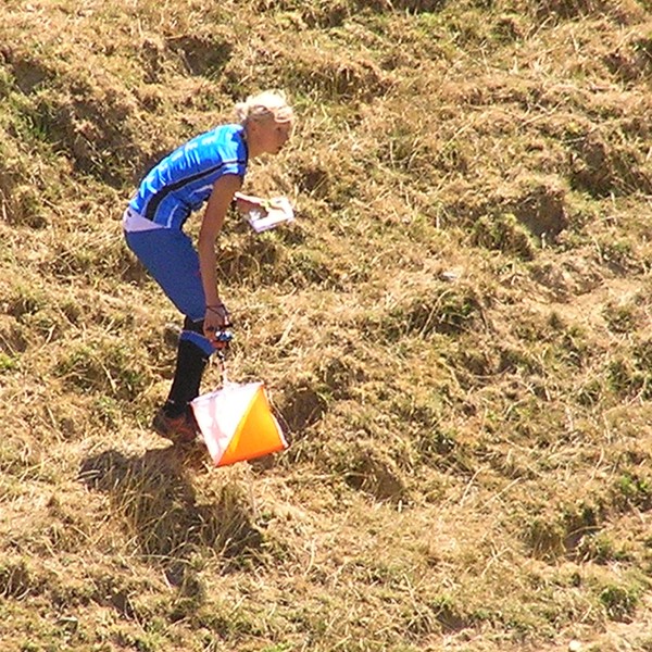 Waitangi Summer Orienteering 