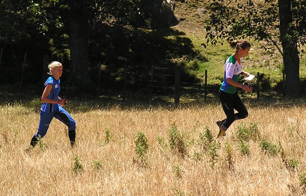 Waitangi Summer Orienteering 