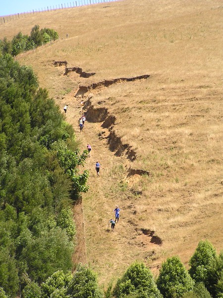 Waitangi Summer Orienteering 