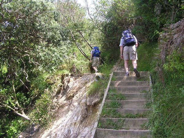 Recent rain and flooding have cause significant damage to the track from Hahei to Cathedral Cove