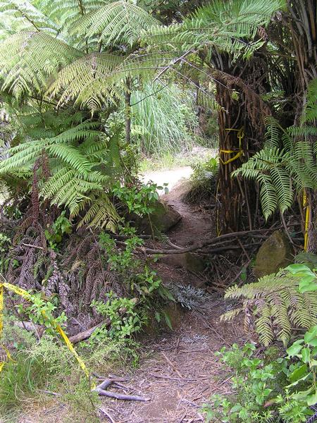 A by-pass of the DOC Gate blocking access to Cathedral Cove