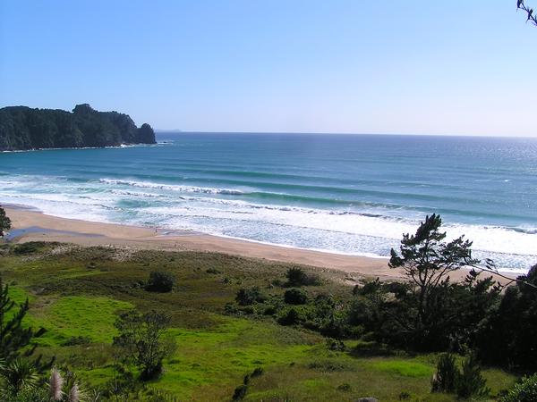 A set lining up in the Middle of Hot Water Beach