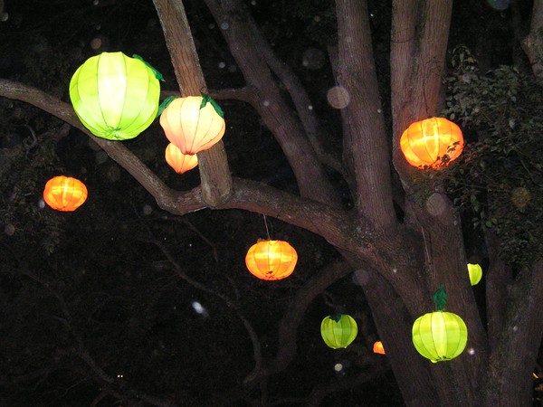 11th Auckland Lantern Festival