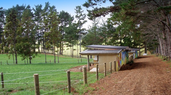 Horses have an array of accommodation options