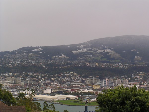 Dunedin's first dusting for the year