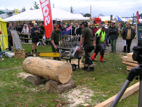 Inforest Training V8 Chainsaw demo