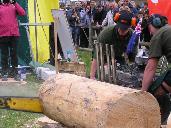 Inforest Training V8 Chainsaw demo