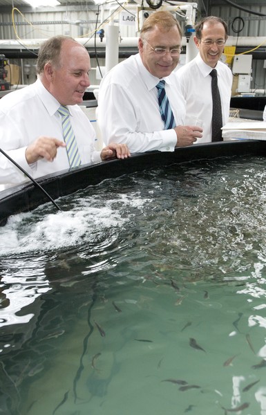Minister of Research, Science & Technology Wayne Mapp with NIWA CEO John Morgan & Chief Scientist, Aquaculture Andrew Forsythe and a tank of cultured juvenile hapuku at NIWA's Bream Bay aquaculture facility.