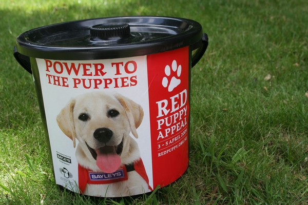 Red Puppy Appeal bucket