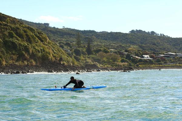  Rasta paddling past raglan points