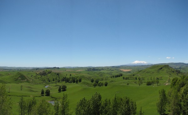  Tighter lending criteria have seen these two Taihape farms placed up for receivership sale. 