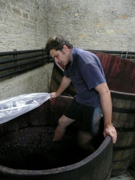 Todd Stevens crushing the Burgundy grapes during an educational trip to the region.