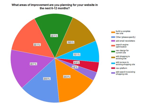 Planned areas of improvement for  websites in the next 6-12 months