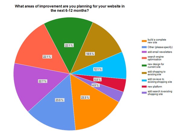 Planned areas of improvement for  websites in the next 6-12 months