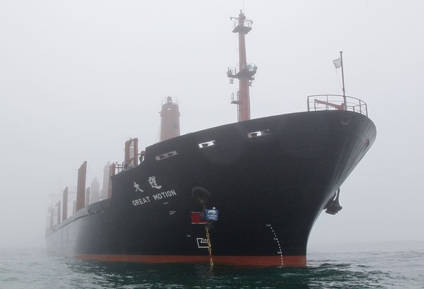 Greenpeace activists have this morning boarded a shipment of palm kernel to prevent it from being unloaded at Port Taranaki, New Plymouth.