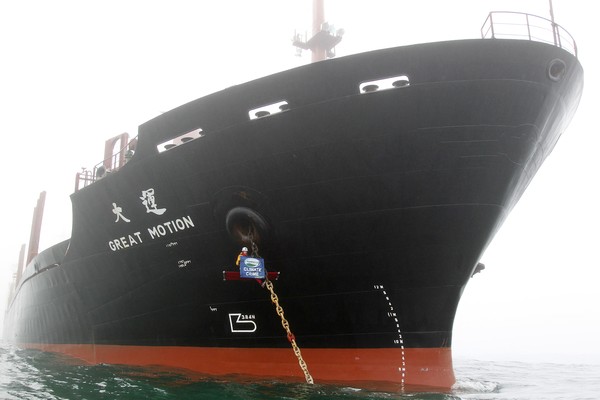 Greenpeace activists have this morning boarded a shipment of palm kernel to prevent it from being unloaded at Port Taranaki, New Plymouth.