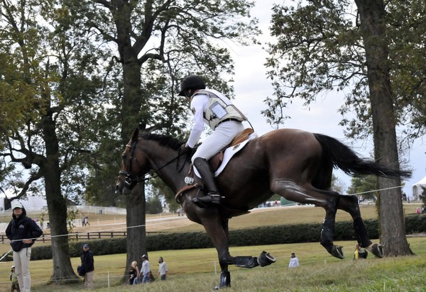 World Equestrian Games