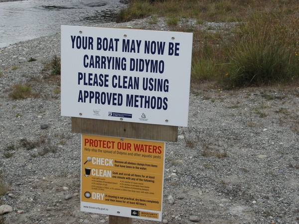 Signs like these are up at lakes all around NZ