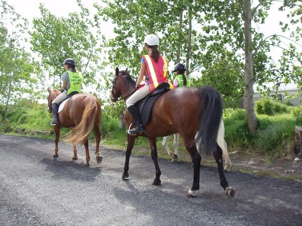 Horse riders can ride double file for safety