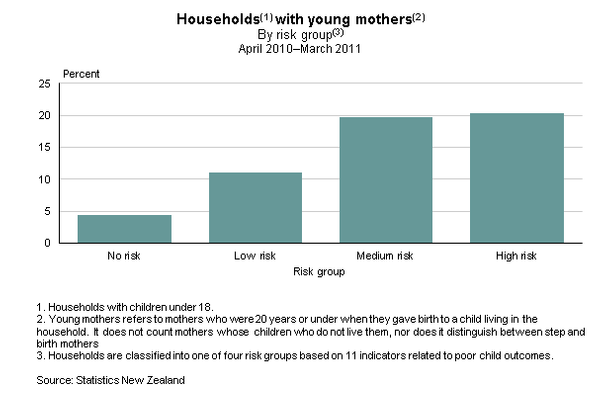 Figure 6 shows 1 in 5 high-risk and medium-risk households contain a young mother, compared with 1 in 20 in the no-risk group. 