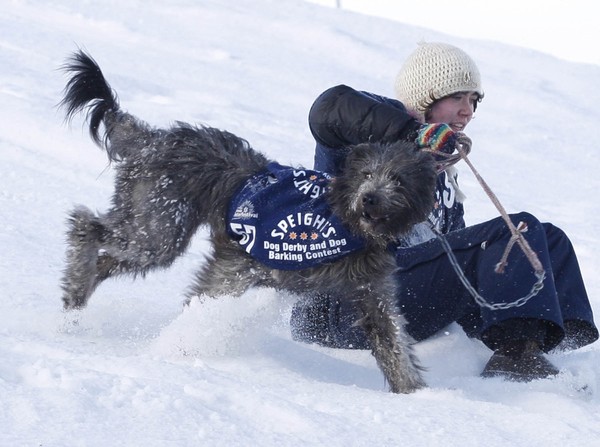 The American Express Queenstown Winter Festival